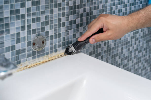 Best Fast Mold Removal  in Shamokin Dam, PA